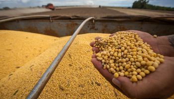 PIB da soja e do bioediesel deve crescer 11% em 2025 com safra recorde e demanda aquecida