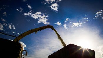 Golpe a los precios: el dato que sorprendió al mercado de soja y maíz y lo que se espera de ahora en más