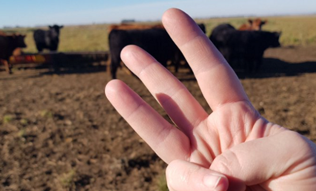 9 de julio: el saludo "trípode" viral del campo en rechazo a las políticas del Gobierno