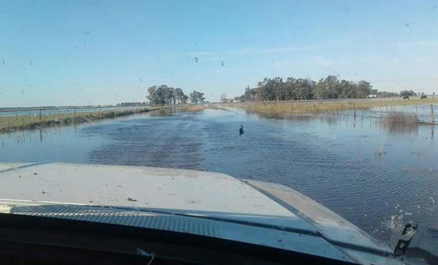 Trigo: cómo quedaron las reservas de humedad de todo el país luego de las precipitaciones