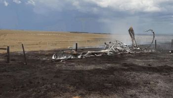 Piloto morre em queda de avião na zona rural de Mato Grosso; Cenipa investiga o caso