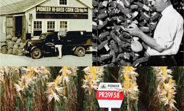 Cómo surgió Pioneer Hi-bred: el agroinfluencer de 1920, el por qué del logo y los hitos detrás de la historia comercial de los híbridos de maíz