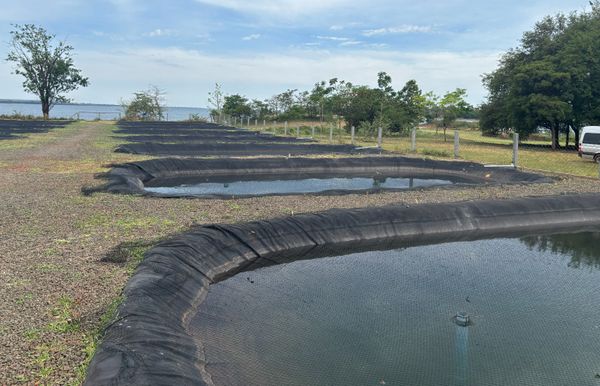 piscicultura-era-preditiva-adm-2025