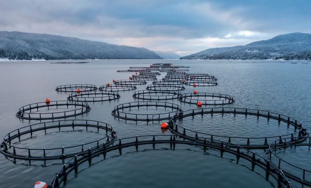 Brasil quer fim da suspensão da Europa contra pescado nacional