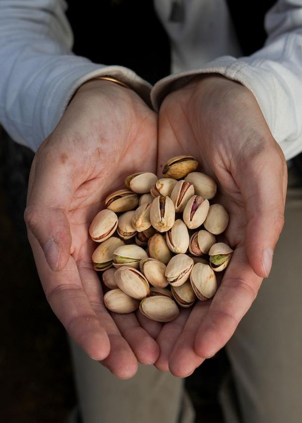 pistachos