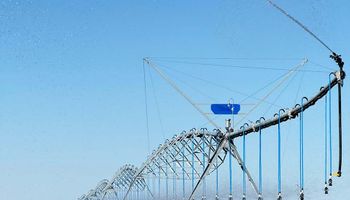 Sin monto mínimo para el RIMI: las inversiones rurales con beneficios impositivos