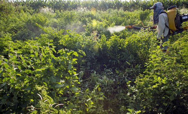 Projeto altera a nomenclatura agrotóxico, na legislação, para pesticida.(foto - Agência Brasil)
