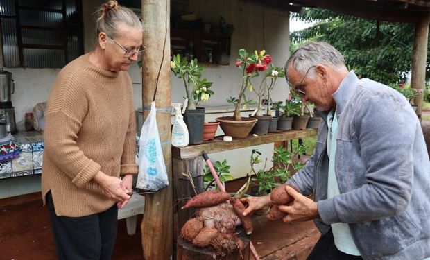 História de superação: casal troca a estrada pela terra e colhe novos frutos