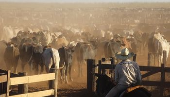 Brasil aplastó a la Argentina en producción de carne