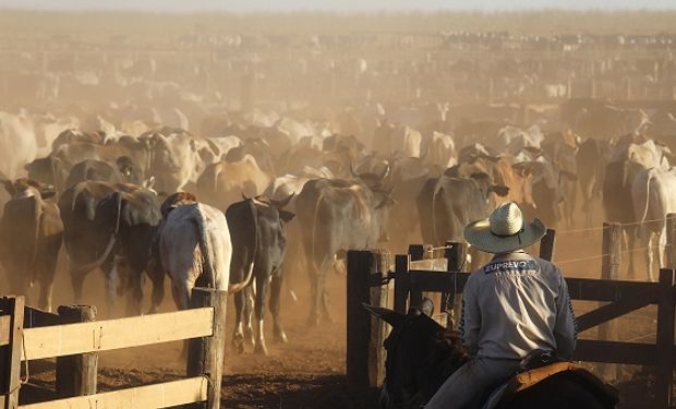 Brasil aplastó a la Argentina en producción de carne