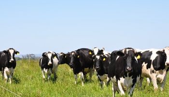 Francia: plan de urgencia para ganaderos y lecheros