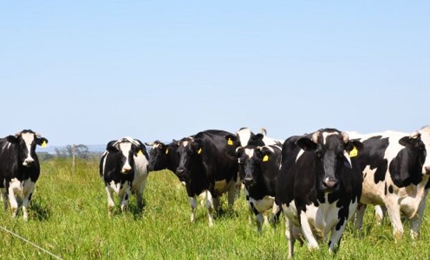 Productores cortan rutas por la caída del valor de la carne y de la leche