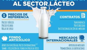 Un plan para el "rescate de la leche”