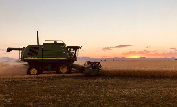 Planificación fiscal en empresas de agro: una guía para poner en marcha el 2021