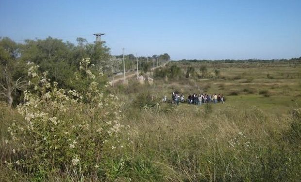 Se trata de una disciplina poco tenida en cuenta a la hora de proyectar grandes obras.