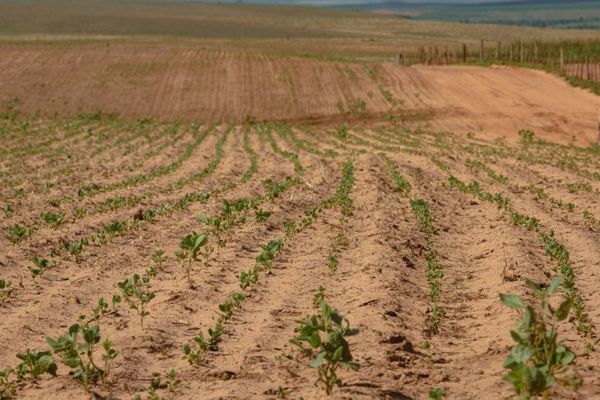 estiagem rio grande do sul