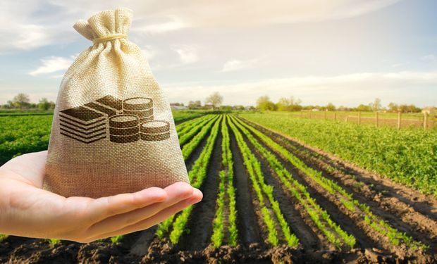 Recursos do PL 18/2022 são "complemento essencial" para o Plano Safra 2022/2023, segundo deputados do agro. Crédito: Getty Images.
