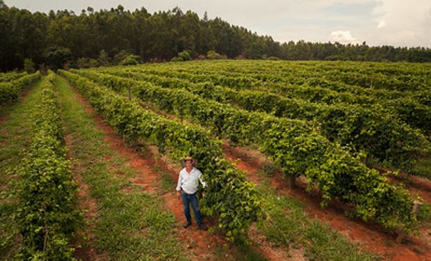 Até dezembro, número de contratos era de 1.092.901. (foto - Sistema CNA/Senar)