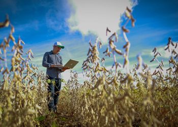 Crédito travado e seguro fraco: o alerta do agro para o Plano Safra 2026/27