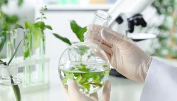 Vacinas plant based abrem mercado bilionário para a agricultura 