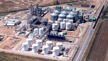 Se derrumba el precio del biodiesel