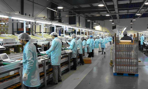 La creación de empleo público amortiguó la caída del mercado laboral