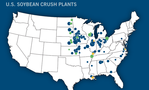 Se esperan 11 nuevas plantas procesadoras de soja en Estados Unidos y alertan sobre el exceso de oferta en un rubro clave para la Argentina