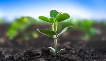 "Brasil é altamente eficiente no uso de agroquímicos, apesar dos desafios", diz CropLife