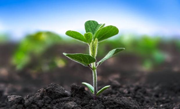 "Brasil é altamente eficiente no uso de agroquímicos, apesar dos desafios", diz CropLife