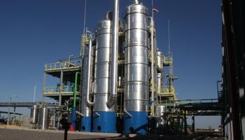 Producción de biodiesel creció un 39%