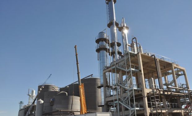 El biodiesel producido durante el periodo septiembre 2013 y septiembre 2014 alcanzaría para cubrir el consumo anual de más de 15 millones y medio de vehículos (con un corte del 10%).