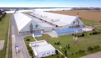 Hito: Adecoagro y Tether buscan quedarse con el mayor productor de urea granular de Sudamérica