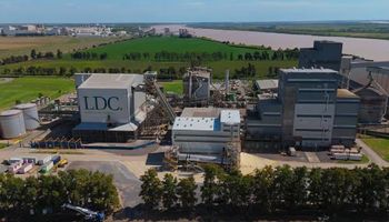 LDC invertirá US$ 400 millones en Argentina para instalar una de las plantas de girasol más grandes del mundo: "Una de las inversiones más importantes del sector agroindustrial argentino en la última década"