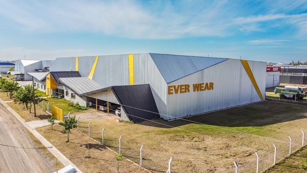 planta ever wear