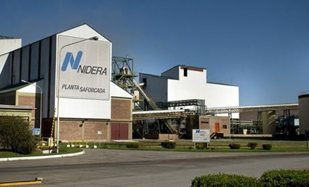 Generación de energía y alimento a partir de la biomasa