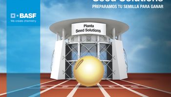 BASF lanza una nueva Plantas Seed Solutions