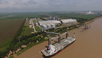 Hito agroindustrial: con 3.000 toneladas diarias adicionales, instalan una nueva línea de molienda especializada para semillas de alto contenido de aceite