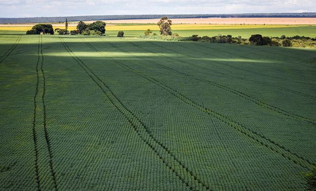Câmara aprova MP do Agro para facilitar captação de recursos