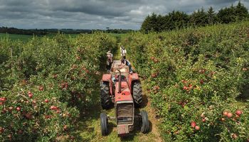 Paraná é referência de políticas públicas para a agricultura familiar, diz FAO