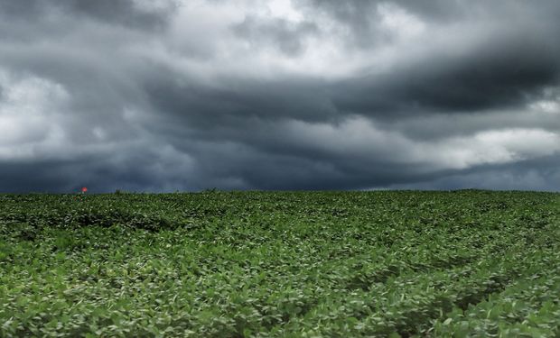 Chuvas frequentes atrapalham plantio da soja no Paraná. (foto - Deral-PR)