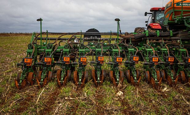 No Paraná, já há necessidade de replantio em parte das áreas do oeste e sudoeste do estado. (foto - CNA)