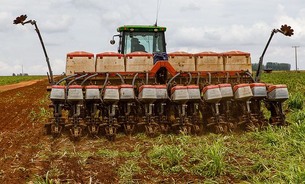 Inicialmente, o período de plantio definido era de 16 de setembro até 24 de dezembro de 2023. (Fotos -Marcos Vergueiro /Secom)