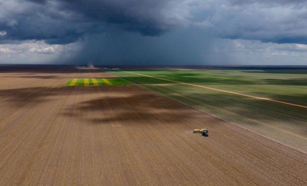 Previsão é que sejam plantados 2 milhões de hectares na região neste período. (Foto - Divulgação)