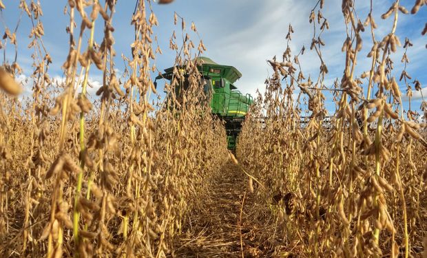 Como é possível? Número de produtores com mais de 100 sacas de soja por hectare dispara apesar do clima