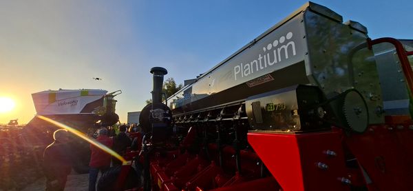 plantium y giorgi