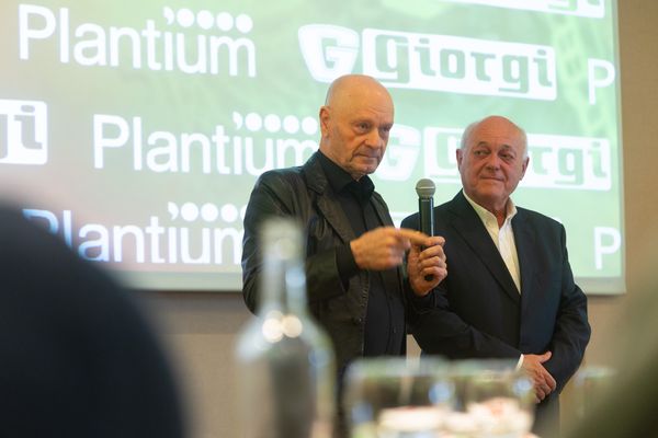 plantium y giorgi