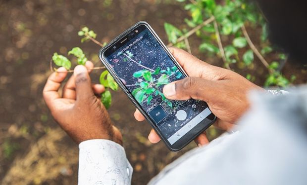 Plantix: la plataforma que reconoce enfermedades agrícolas con inteligencia artificial y da recomendaciones de manejo