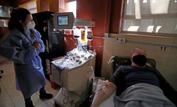 Suero hiperinmune contra el Covid: el tratamiento de investigadores argentinos ya está en hospitales