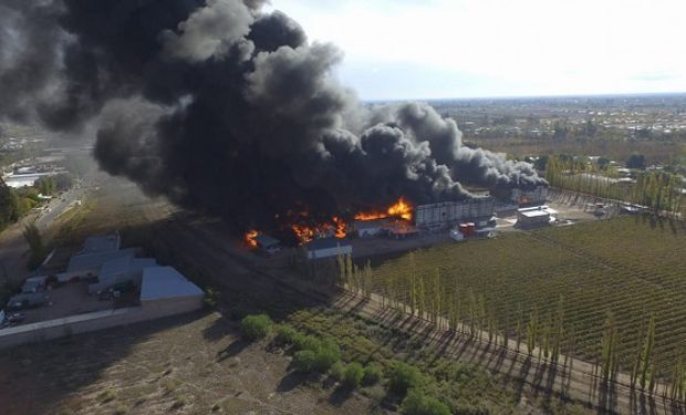 Voraz incendio consumió a una importante fábrica de Mendoza: de quién era la planta que daba empleo a más de 170 familias