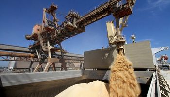 Amplían a un año el plazo para liquidar divisas